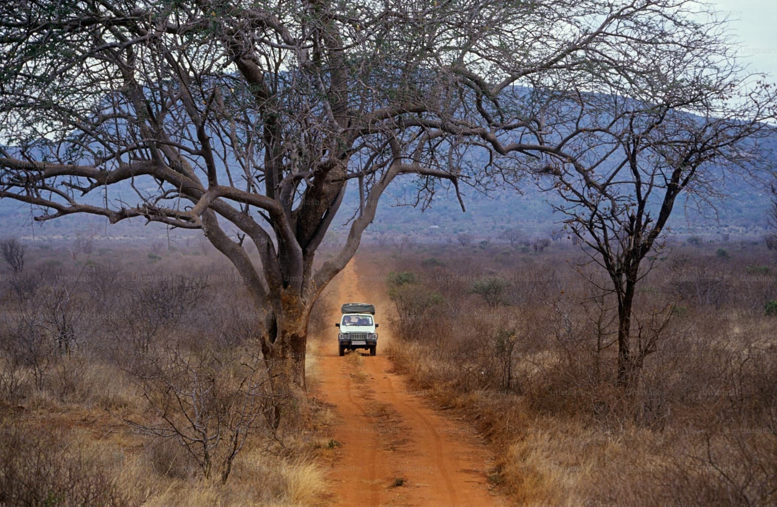 A truck driving down a dirt road next to a tree